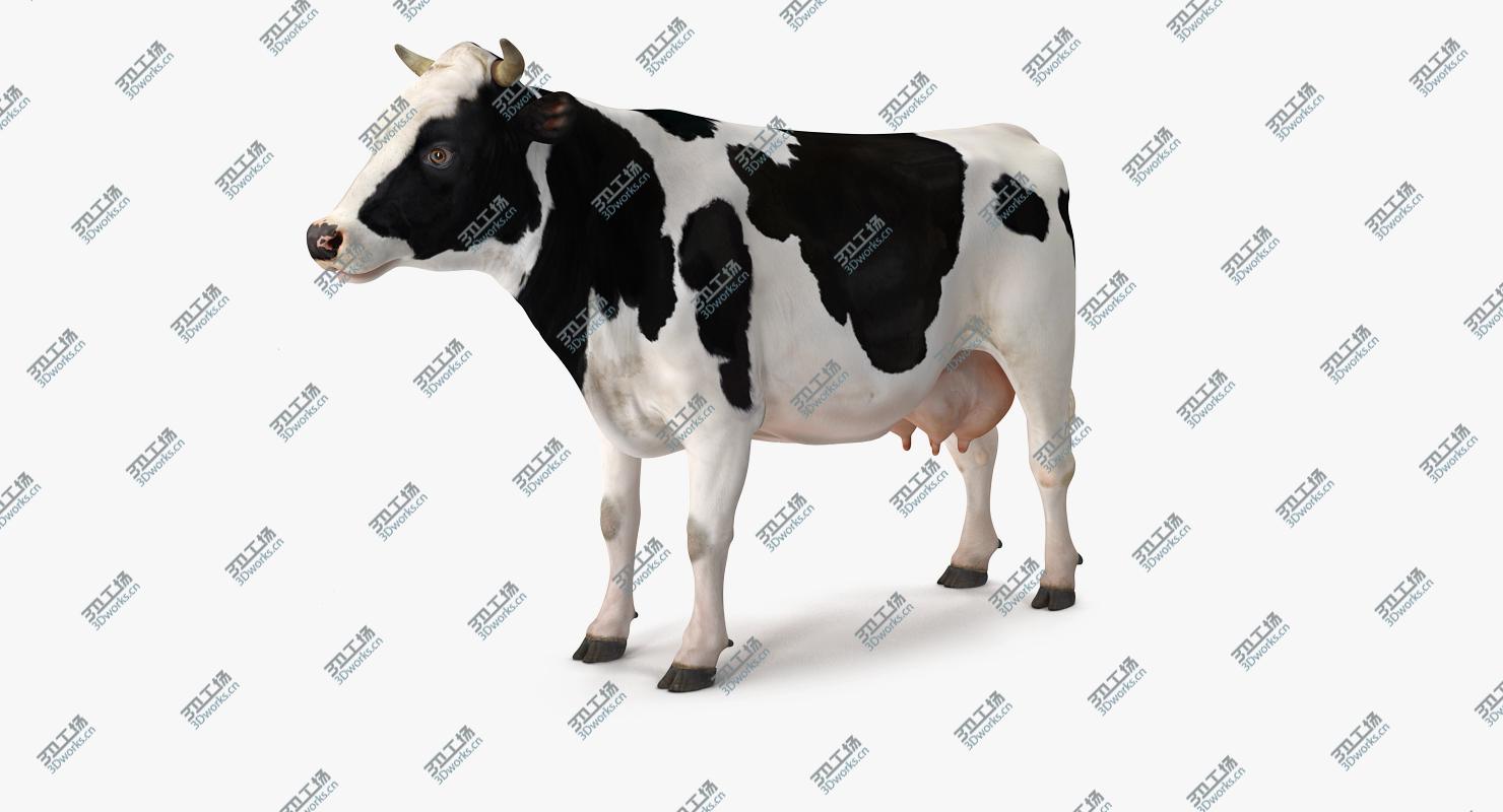 images/goods_img/202104021/3D Dairy Cow Rigged model/3.jpg